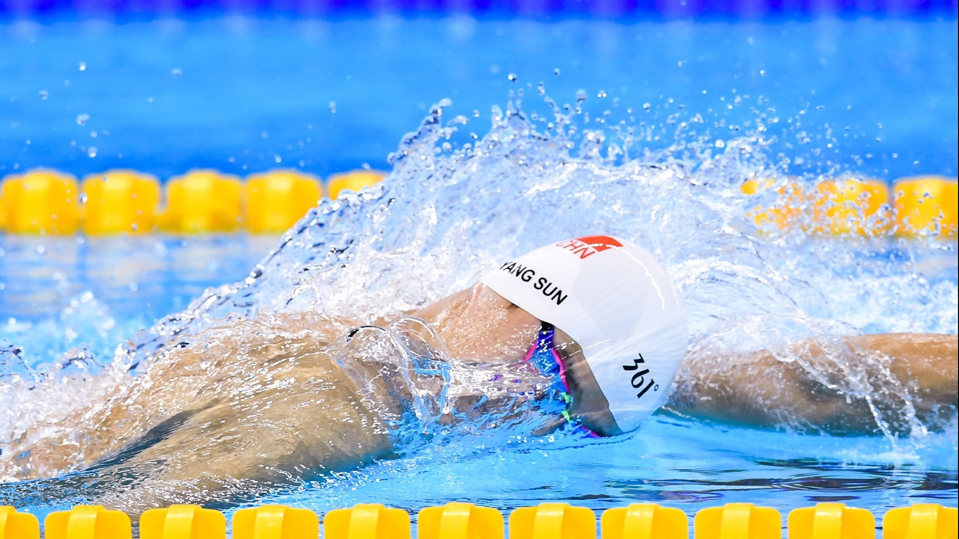 WRC文化交流：世界各地的拉力魅力，世界著名拉力赛道