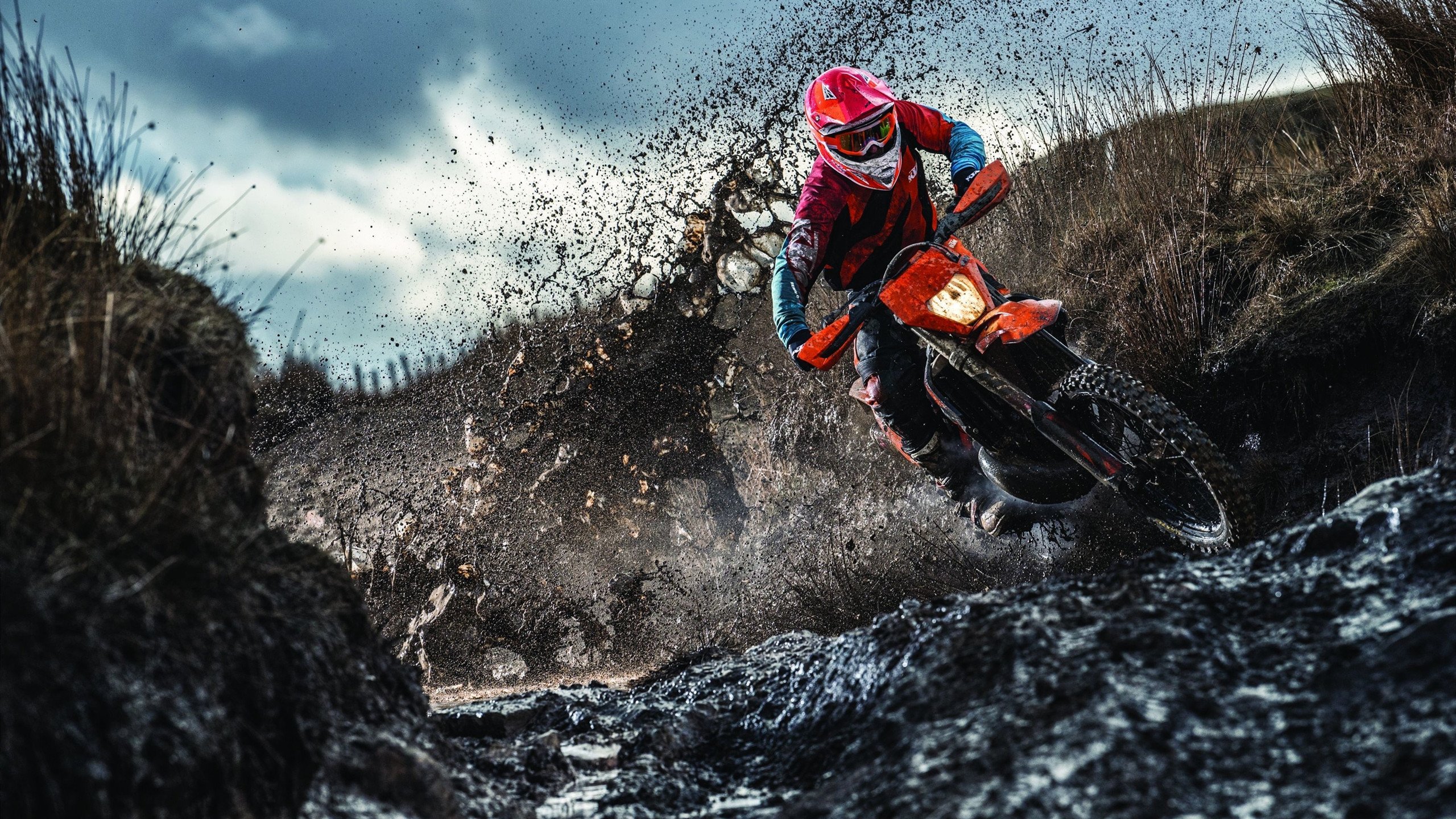 蝶泳赛场吉尔吉斯斯坦爆发力强劲，吉尔吉斯斯坦摔跤手