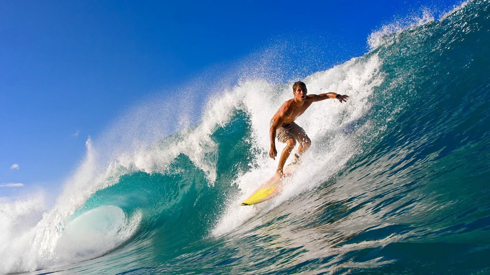 九游网-WRC年度评选：最佳表现与精彩瞬间盘点，wrc比赛规则